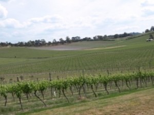 Der Erste Sommelier Club Österreichs unterwegs in Australien